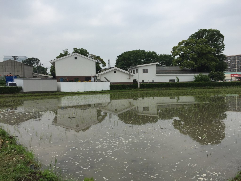 11035745_824887857587207_3646972039761062070_o