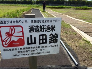 11269740_803230603100097_2274407189933625716_n