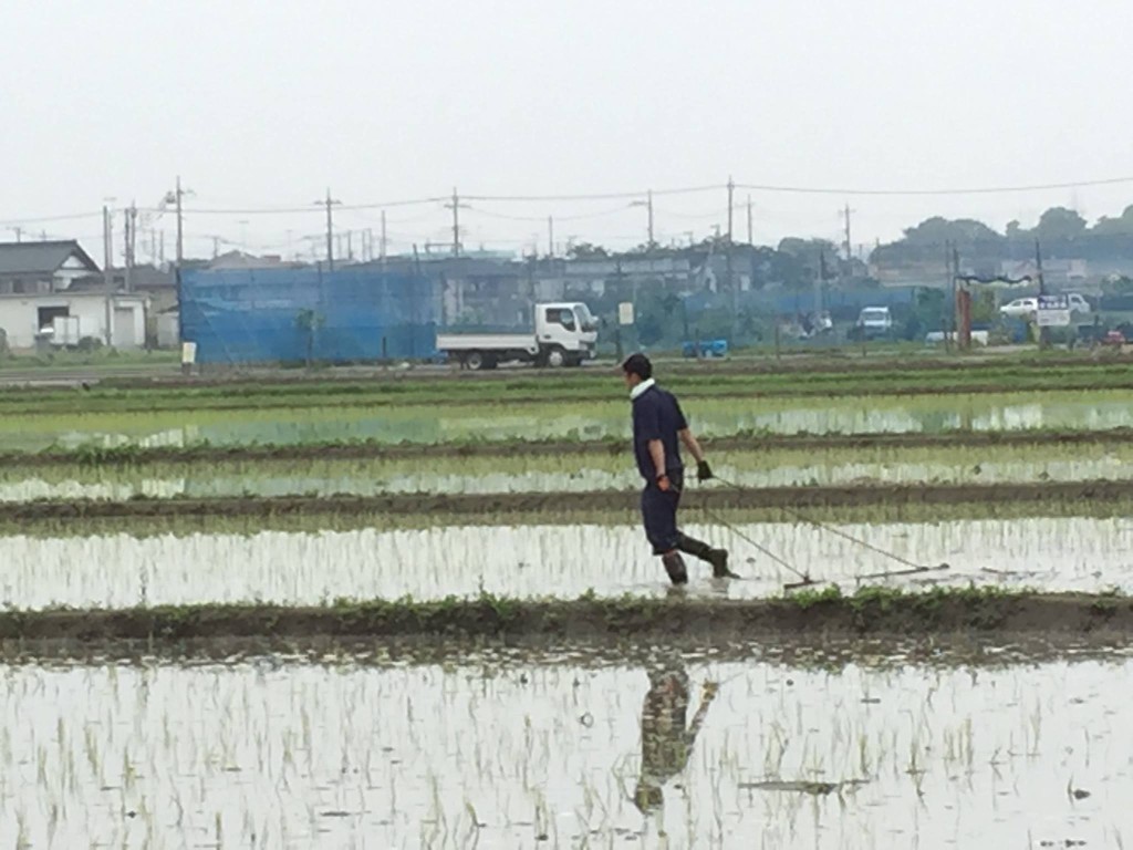 11357057_824887860920540_3321416927277007475_o