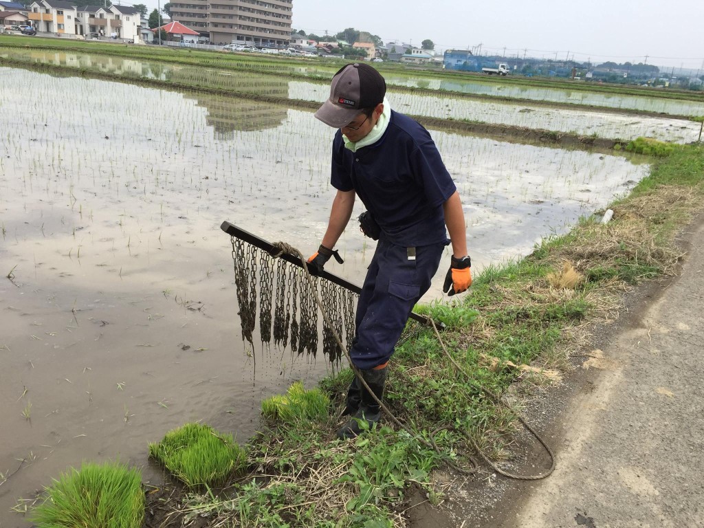 11537618_824887867587206_1405657129815264770_o