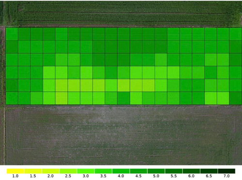 泉橋酒造　2020/9/10 NHK首都圏ネットワークでドローン農業が紹介されました
