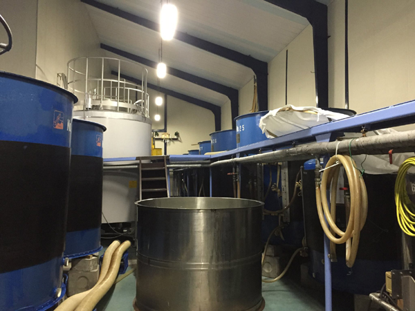 12029597_884682398274419_5232171309962267662_o