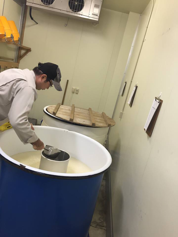 12039455_884682394941086_1261156553395638053_n