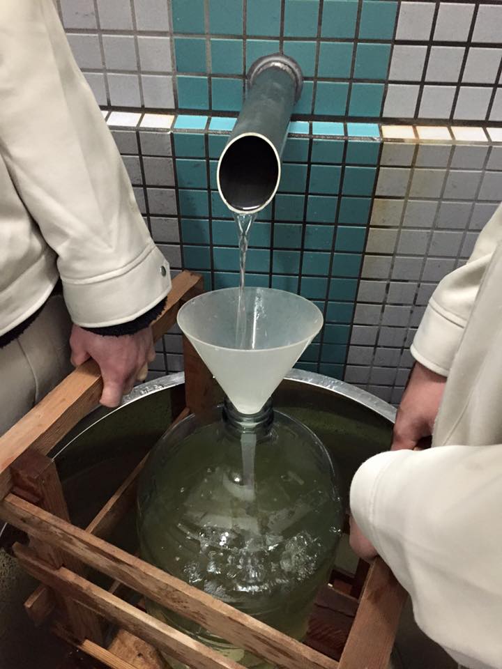 12790947_947725245303467_7779464384211562589_n