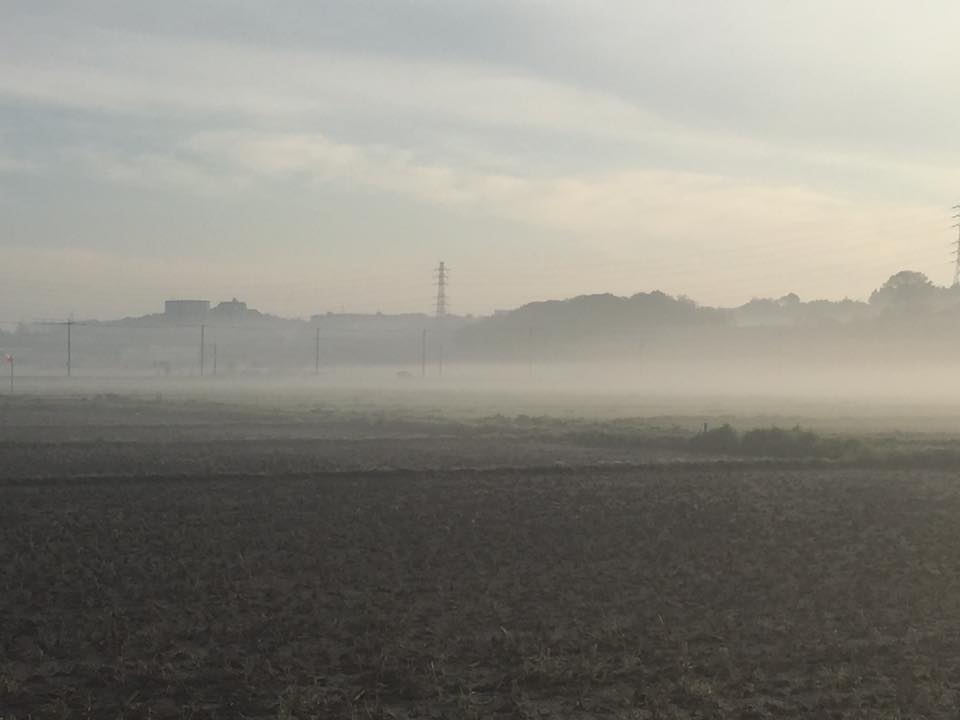 12928290_970867199669769_7806899049949112315_n