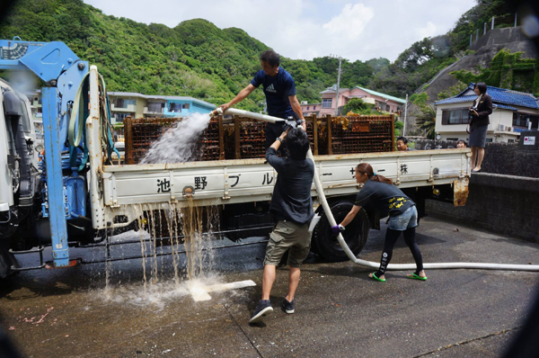 13308240_687846708037783_5504086201807168766_o