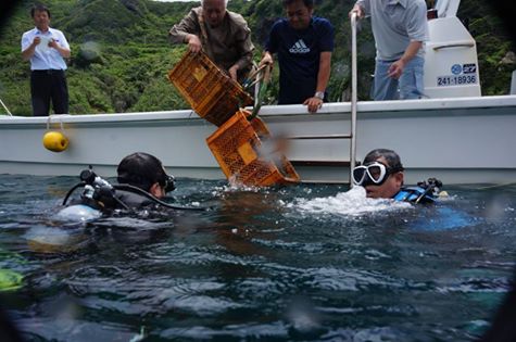 13321669_687846661371121_7137378439111651358_n