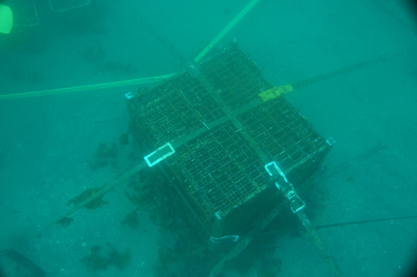 13323223_689974644491656_6088404927801228543_o