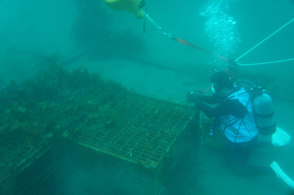 13323254_687145538107900_6457195551674415884_o