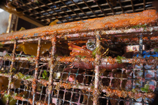 13340129_687846741371113_5239288675563133608_o