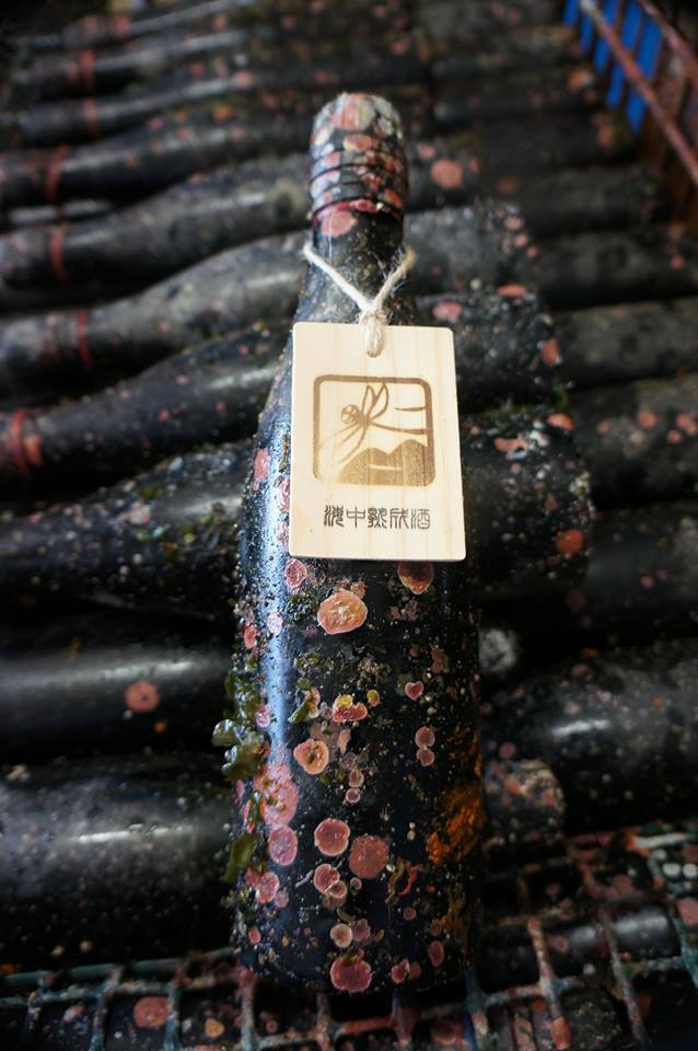 13346796_689955137826940_8711823627606909974_n