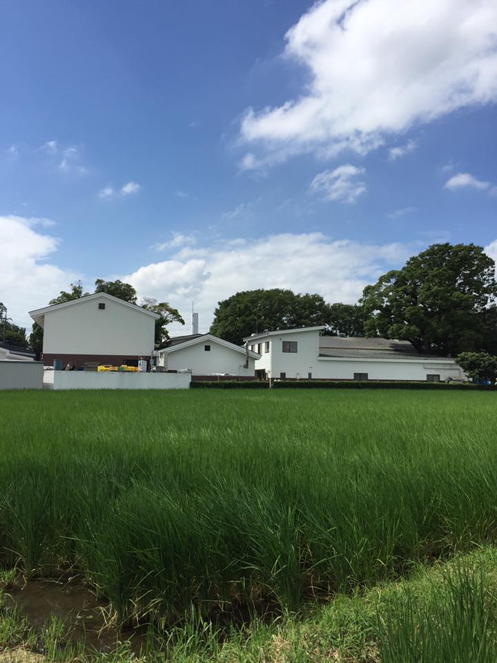 14199258_1071397042936286_1096836451919037904_n