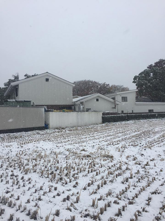 15178115_1141392252617262_4