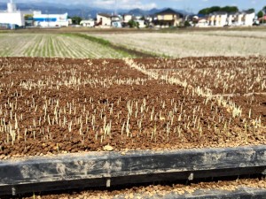 1610926_803230626433428_3590348845509213352_n