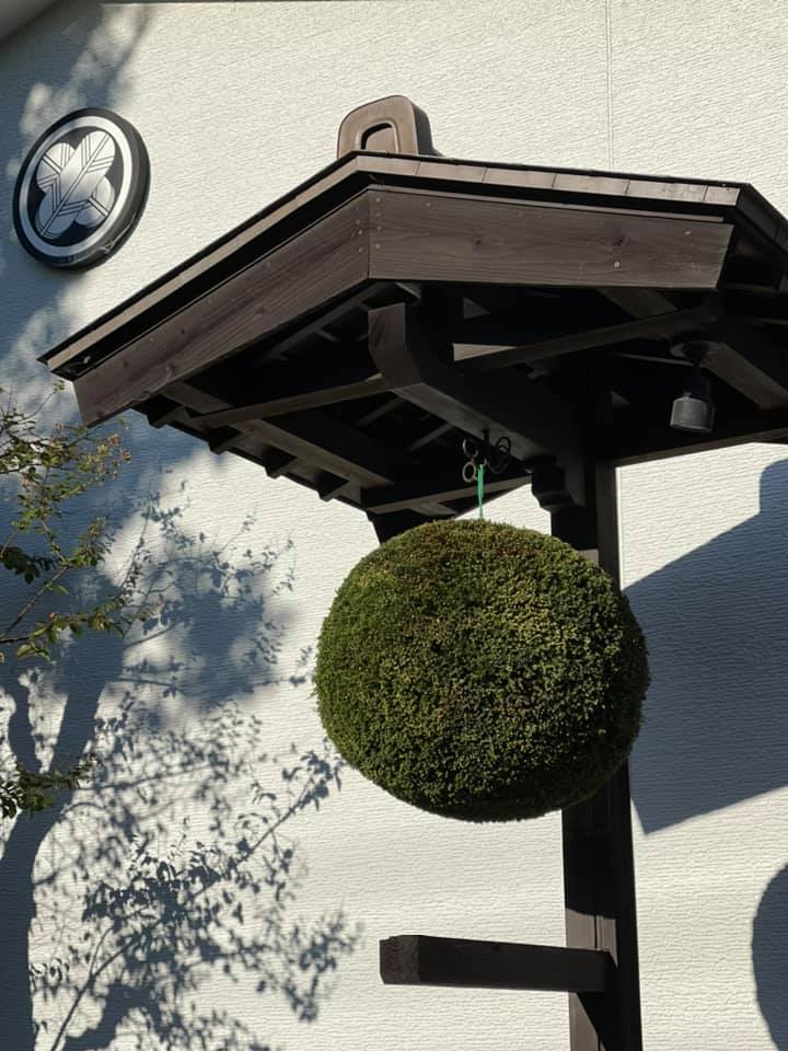 泉橋酒造　杉玉