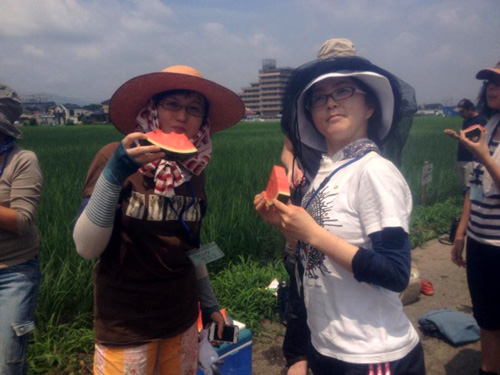 534933_282009601937133_1306