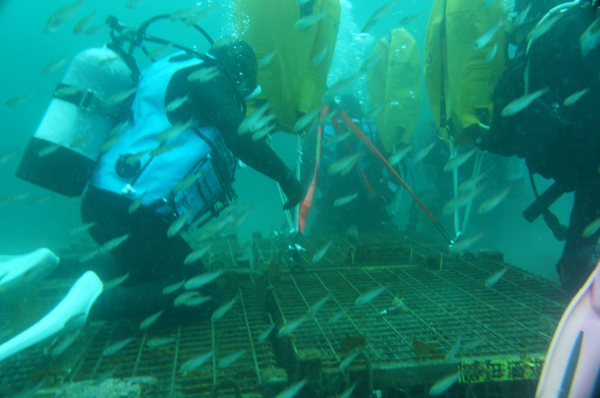 885948_507053306117125_7068845801209560836_o