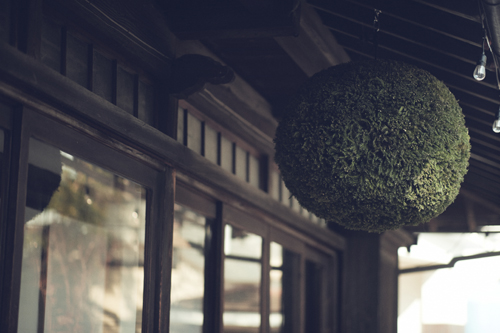 泉橋酒造 酒友館 杉玉