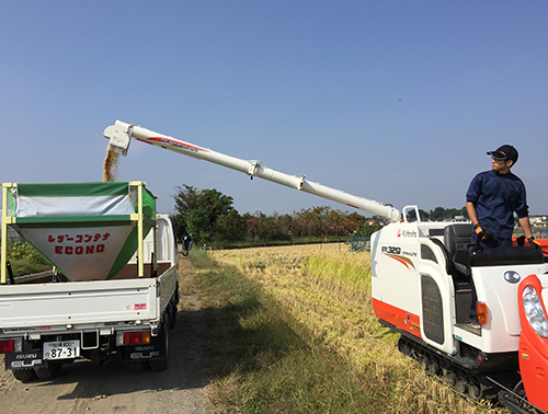 お米の収穫作業　コンバイン