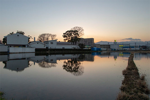 泉橋酒造　冬期湛水