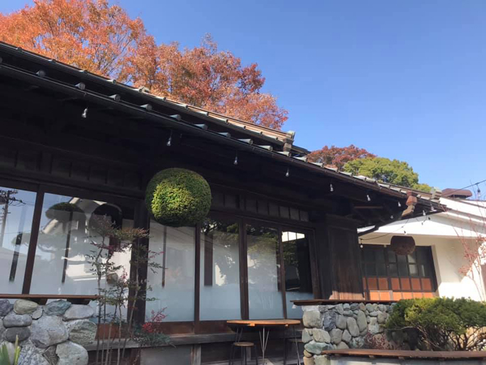 泉橋酒造　杉玉、酒林